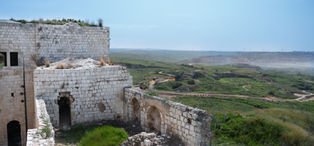 DSC06507.jpg